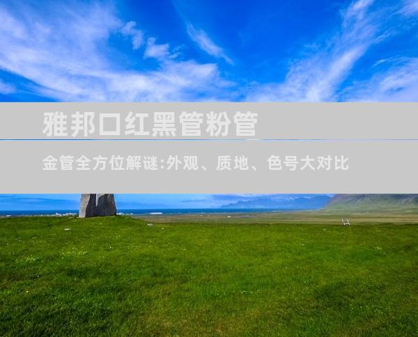 雅邦口红黑管粉管金管全方位解谜:外观、质地、色号大对比