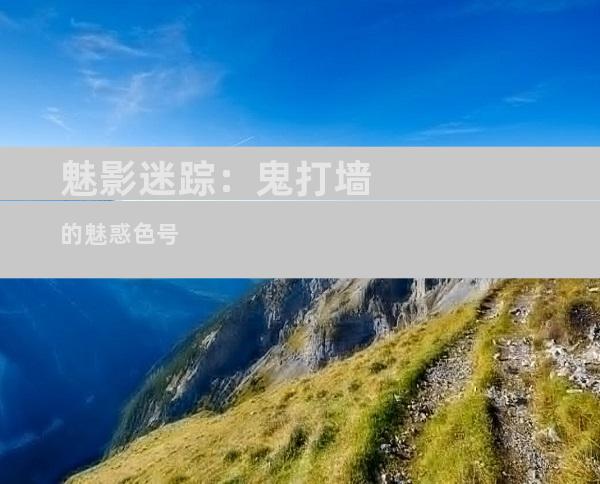 魅影迷踪：鬼打墙的魅惑色号
